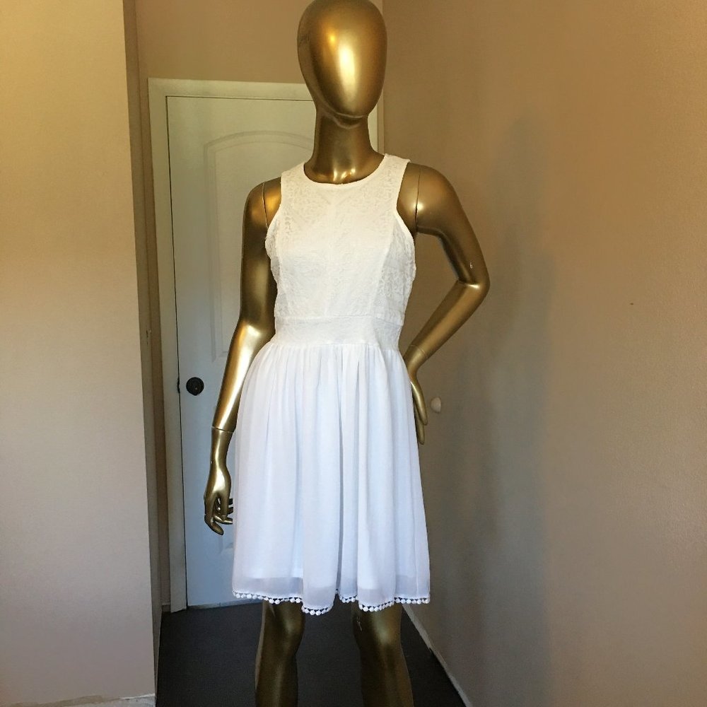 FRANCESCA'S Lace and Chiffon Skater Dress - Picture 2 of 10